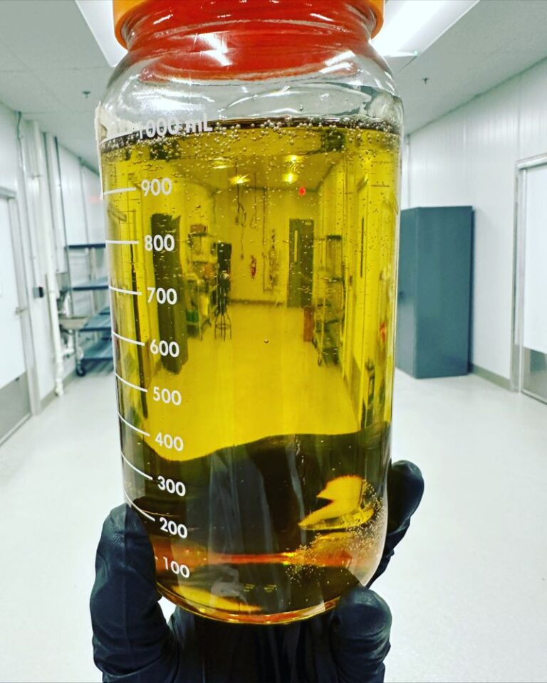 Read more about the article HHC Distillate